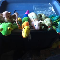 Beanie Babies - Small Creatures Lot Of 8 $75OBO