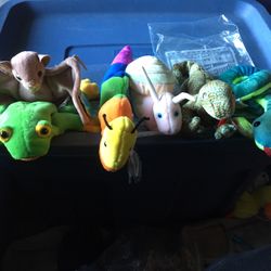 Beanie Babies - Small Creatures Lot Of 6 -NEW $55 OBO
