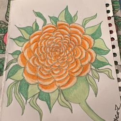 Drawings 