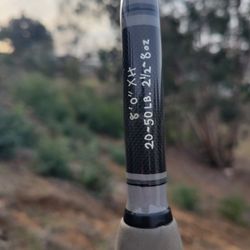 Fishing Rod