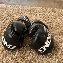 Boxing Gloves