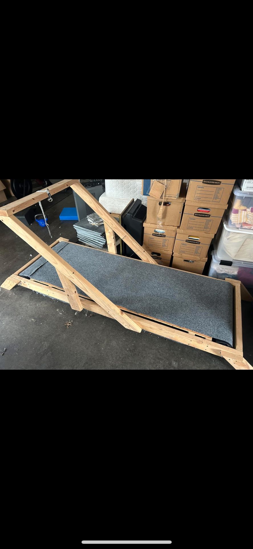 Dog Treadmill