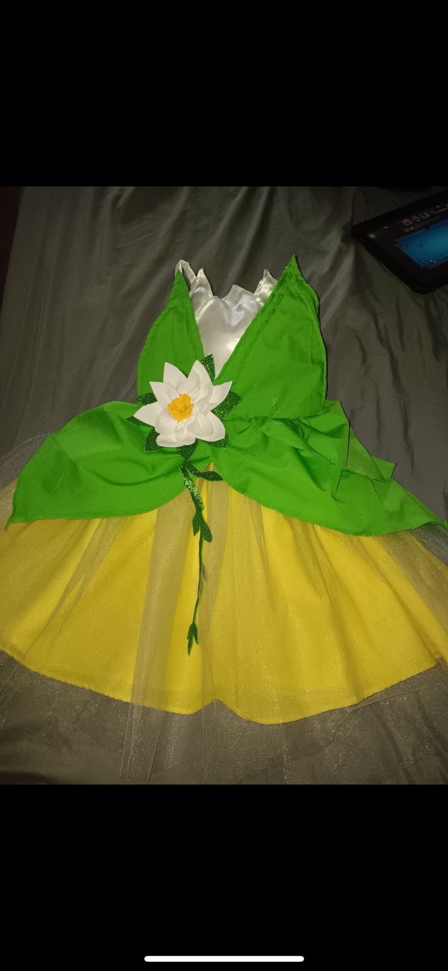 Princess Tiana Dress