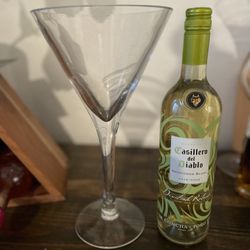 Tall Martini Glass (wine bottle not included)
