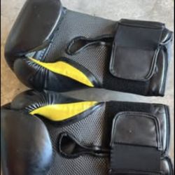 Everlast Elite Boxing Gloves 🥊
