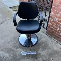 Salon/Barber Chair