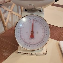 Scale
