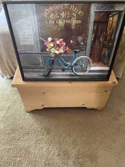 Picture of Paris with Bike