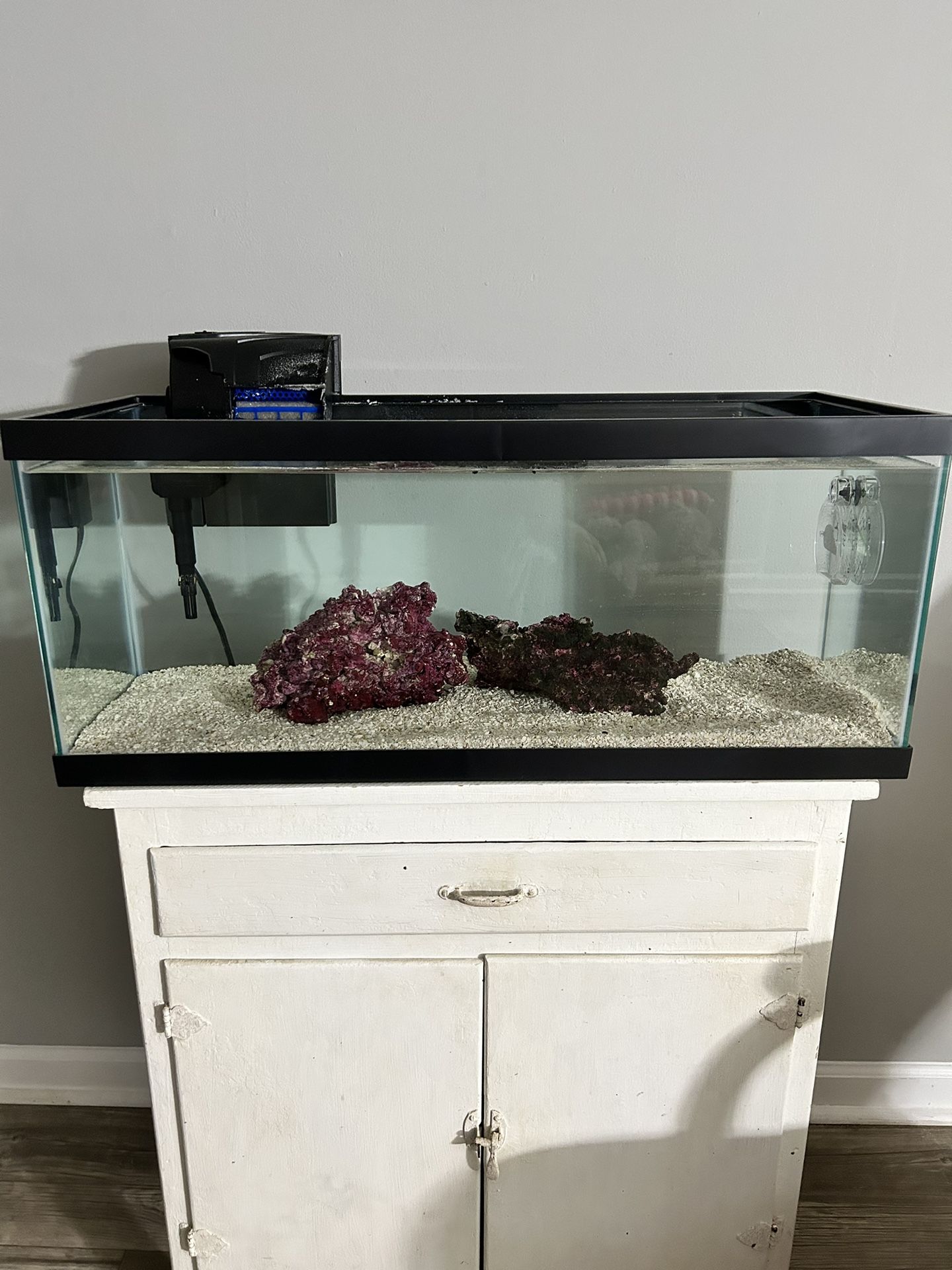 20 Gallon Fish Tank