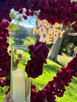 Proposal heart set up