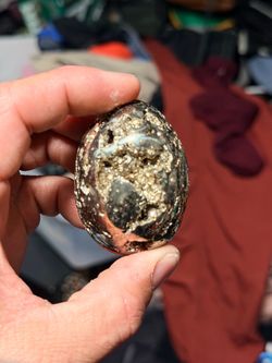 Golden egg