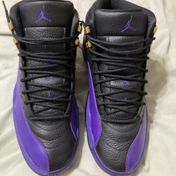 Jordan 12 field, purple