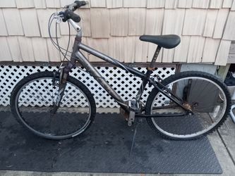 Trek Navigator 100