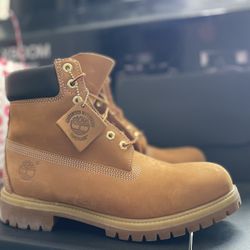 Timberland 6" Premium Waterproof Boots (size 10 1/2 M)