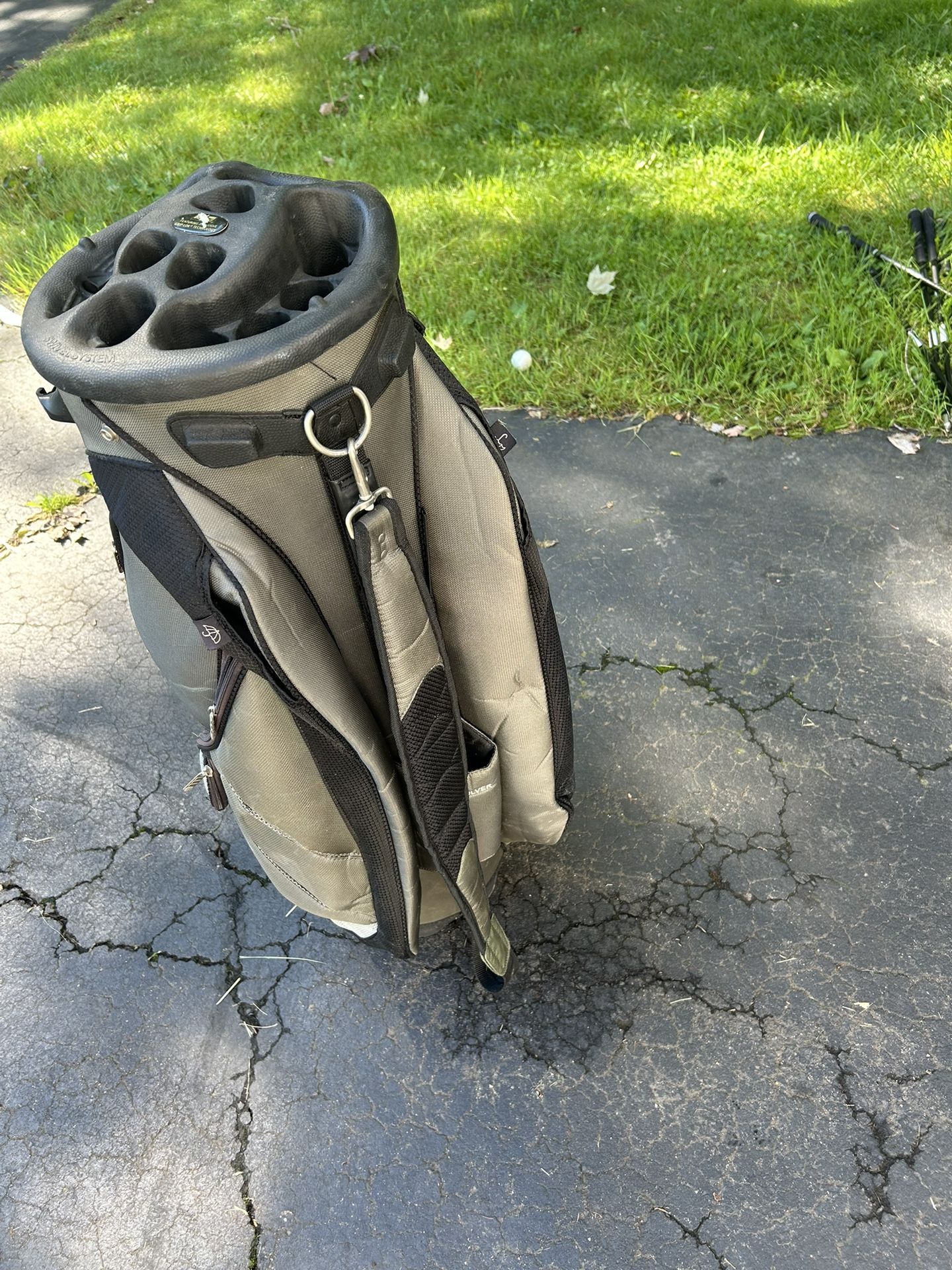 Golf Bag Bag Boy