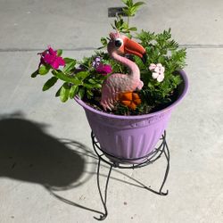Beautiful Plant For Outside 