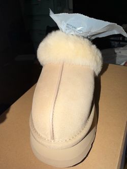 Ugg woman Disquette
