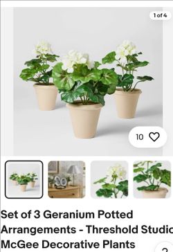 Plant/ faux geranium arrangements