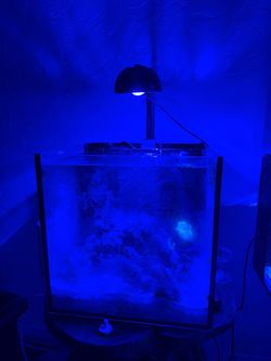 15 gallons AIO