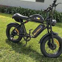 2000W Dual Motor Ebike