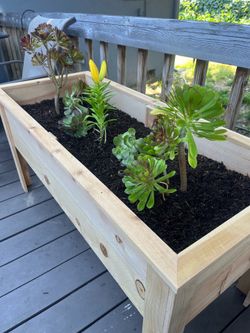 Cedar planters
