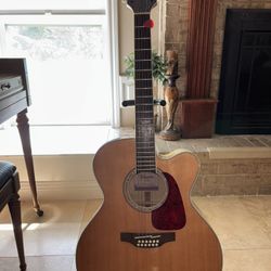 Takamine G Series 