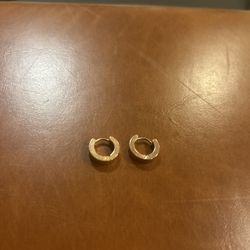 Stainless Steel Earrings 