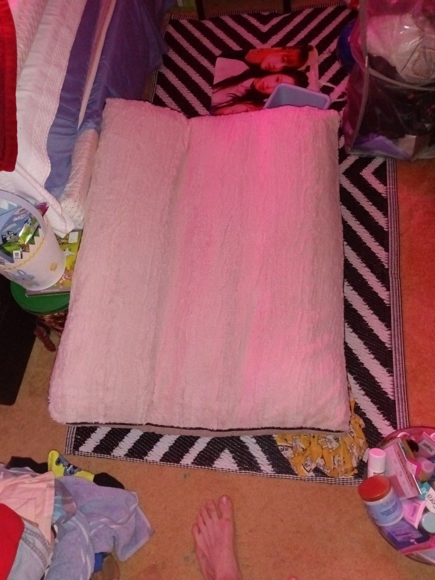 Large Dog Bed New