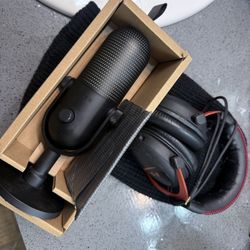 Microphone & Headphones 