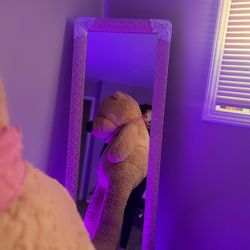 Big Teddy Bear