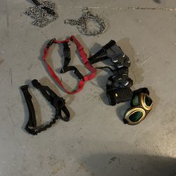 Leash Harness And Collar 
