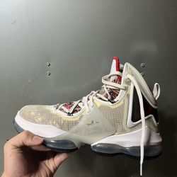 lebron basketball shoes 