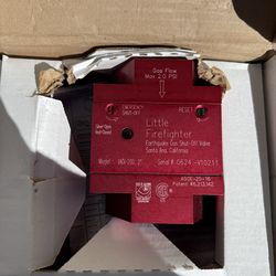 Gas Earthquake valve