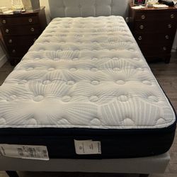 Brand New Twin Bed
