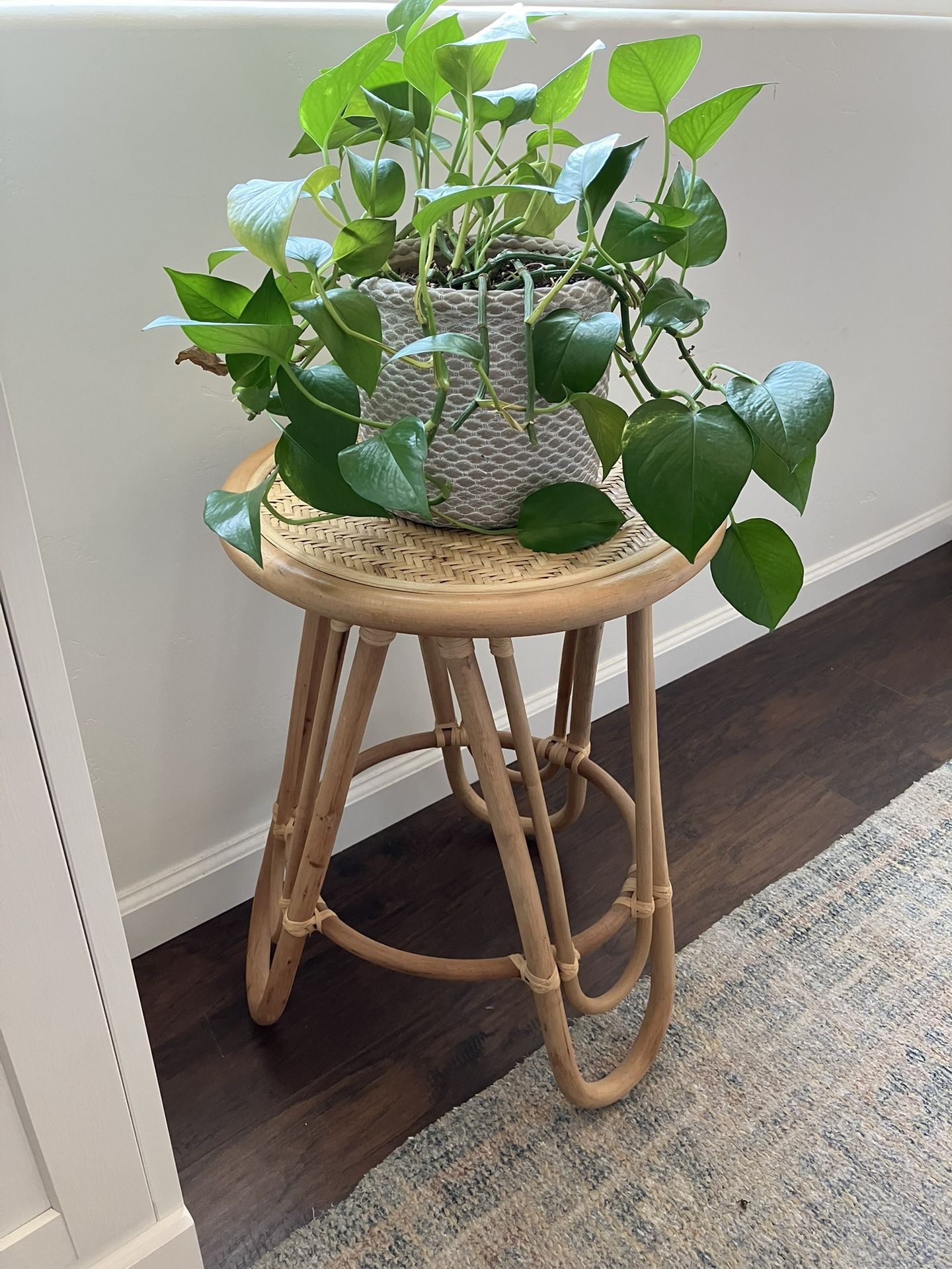 Boho Decorative Table And Plant