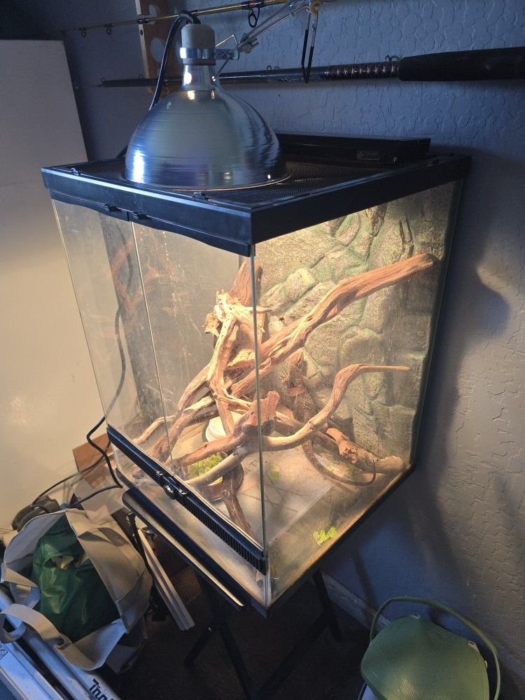 Glass Cage Only Zoomed Like New $100