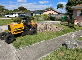Stump Grinding 
