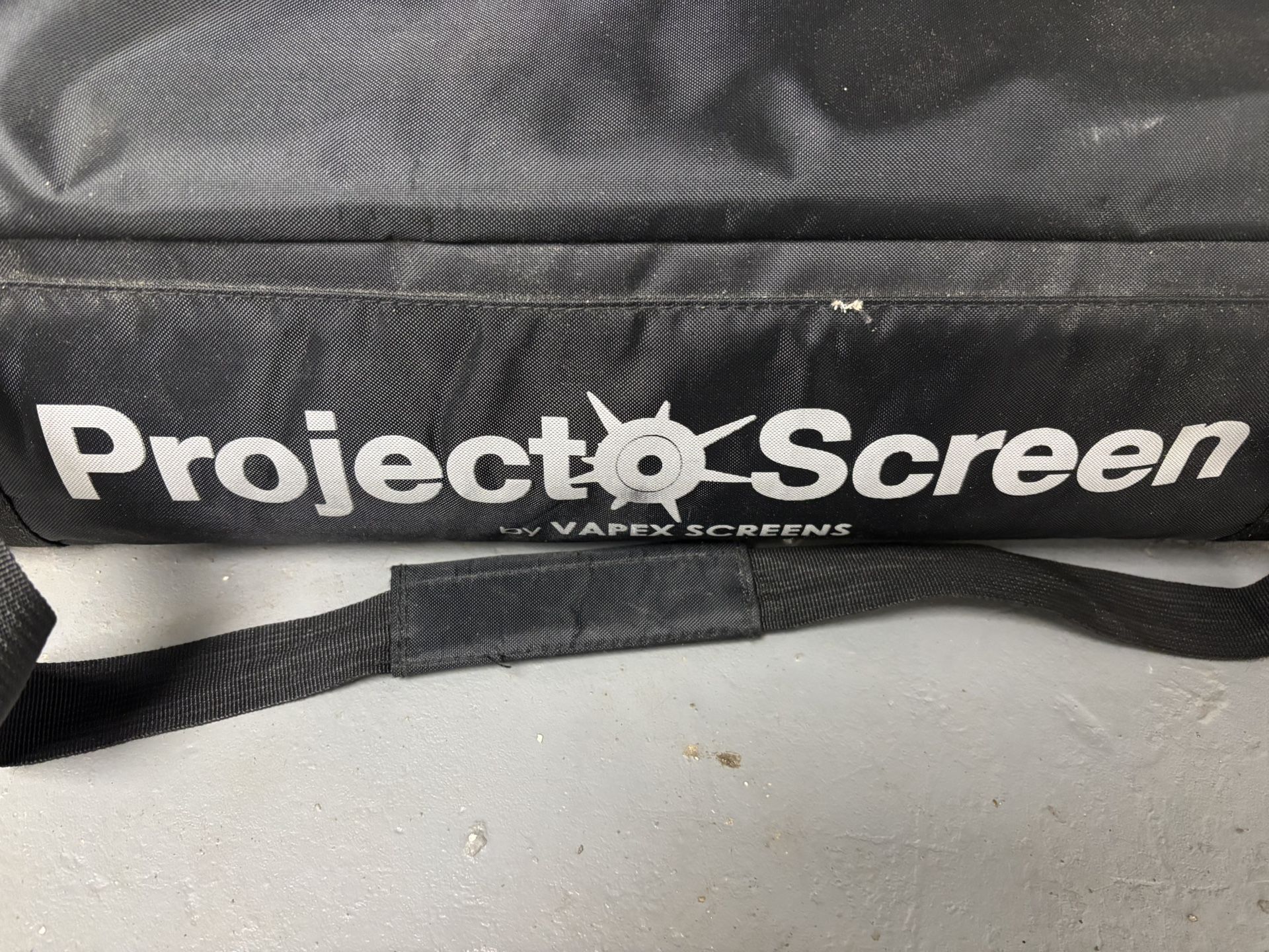 Visual Apex 120-inch outdoor projector screen