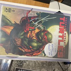 TMNT 1/500 Raphael Cover