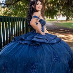 beautiful navy blue dress and crinolina