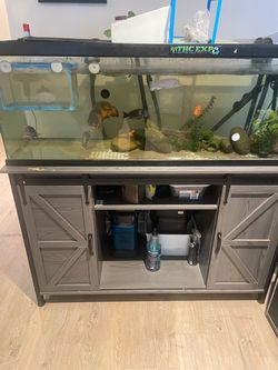 60 gallon fish tank