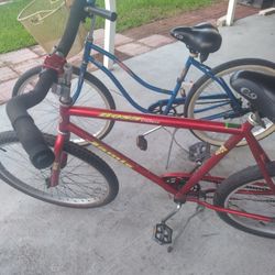 Selling Two Jamis Cruiser's Together One Earth And Boss