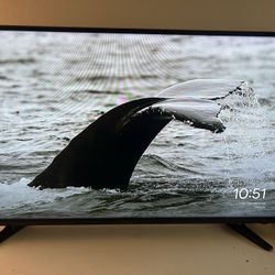Insignia TV 40 in
