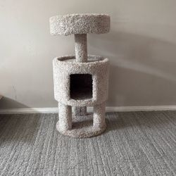 Cat Tree 