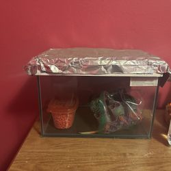 Fish Tank /And Other Ítems Included 