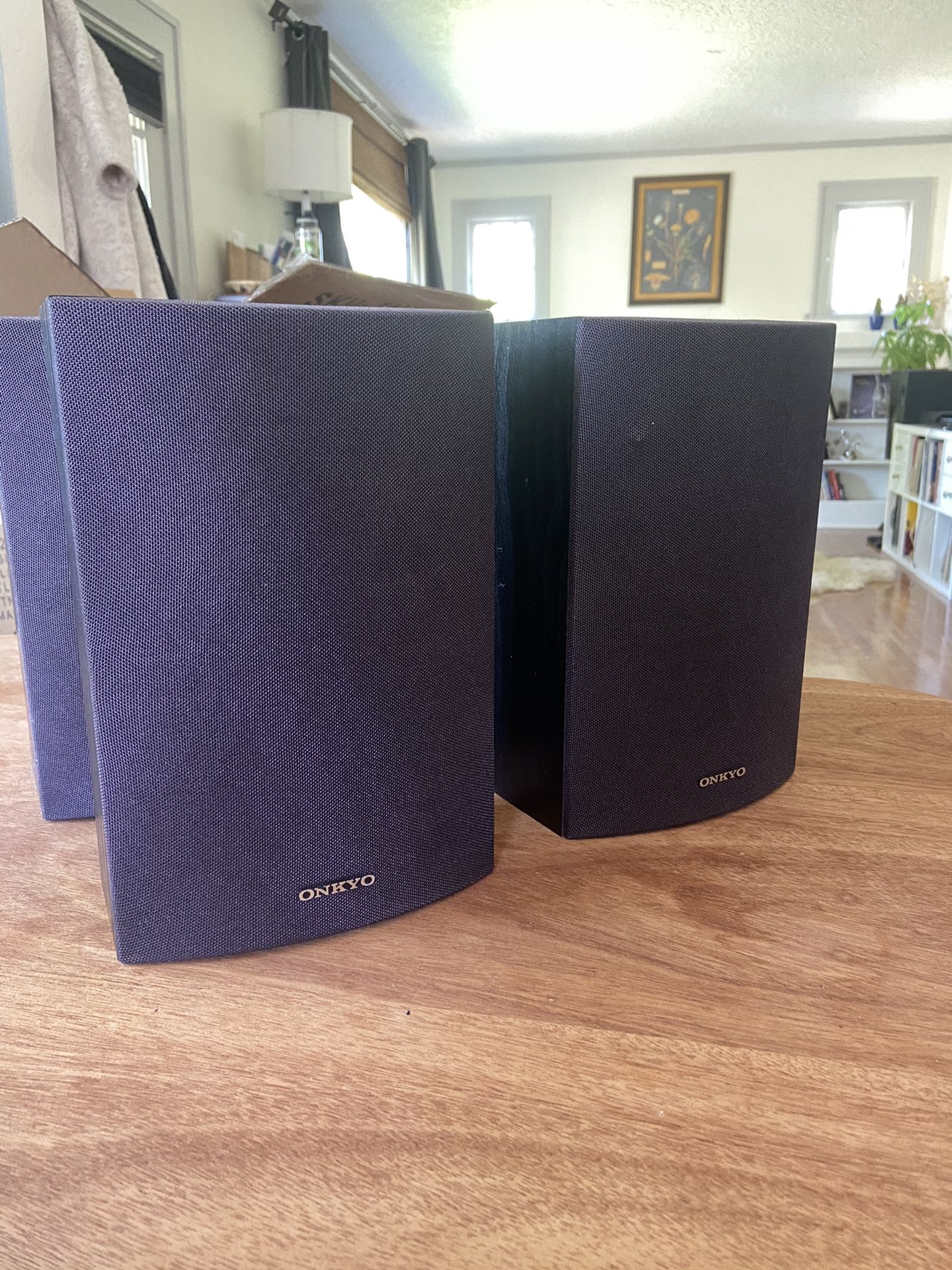 Onkyo  Surround Speakers 