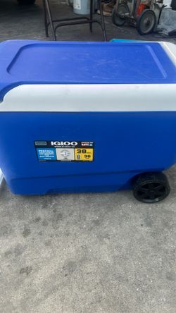 Igloo cooler