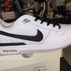 Nike SB Zoom Air P-Rod 1 *White Black*