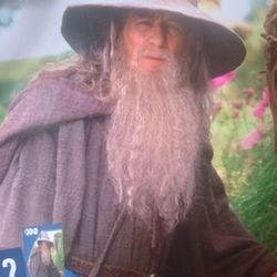 THE LORD OF THE RINGS "GANDALF" THE GREY FIGURE