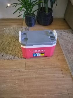 Fridge ice